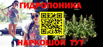 стаф Краснодар