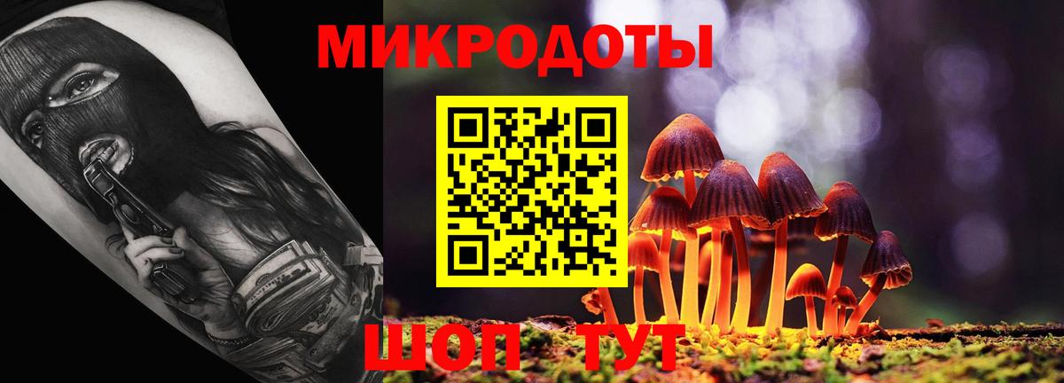 Галлюциногенные грибы MAGIC MUSHROOMS  Вход с VPN  Котлас  Галлюциногенные грибы прущие грибы 