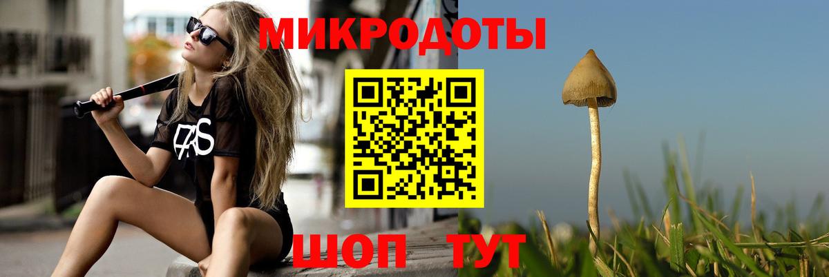 Псилоцибиновые грибы прущие грибы Котлас